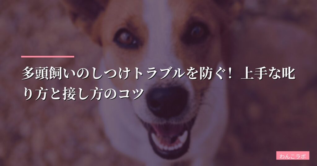多頭飼いのしつけトラブルを防ぐ！上手な叱り方と接し方のコツ【2026年版】