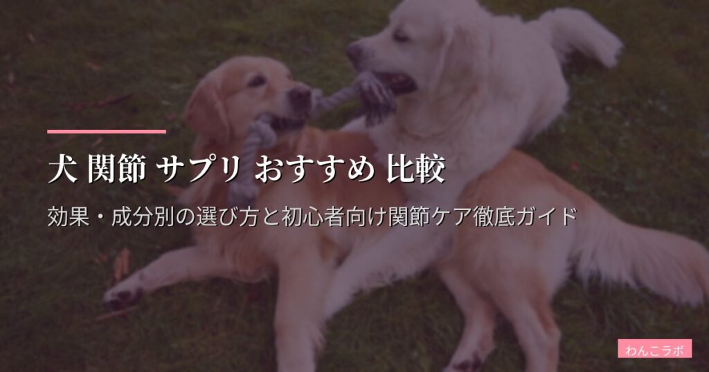 犬 関節 サプリ おすすめ 比較｜効果・成分別の選び方と初心者向け関節ケア徹底ガイド