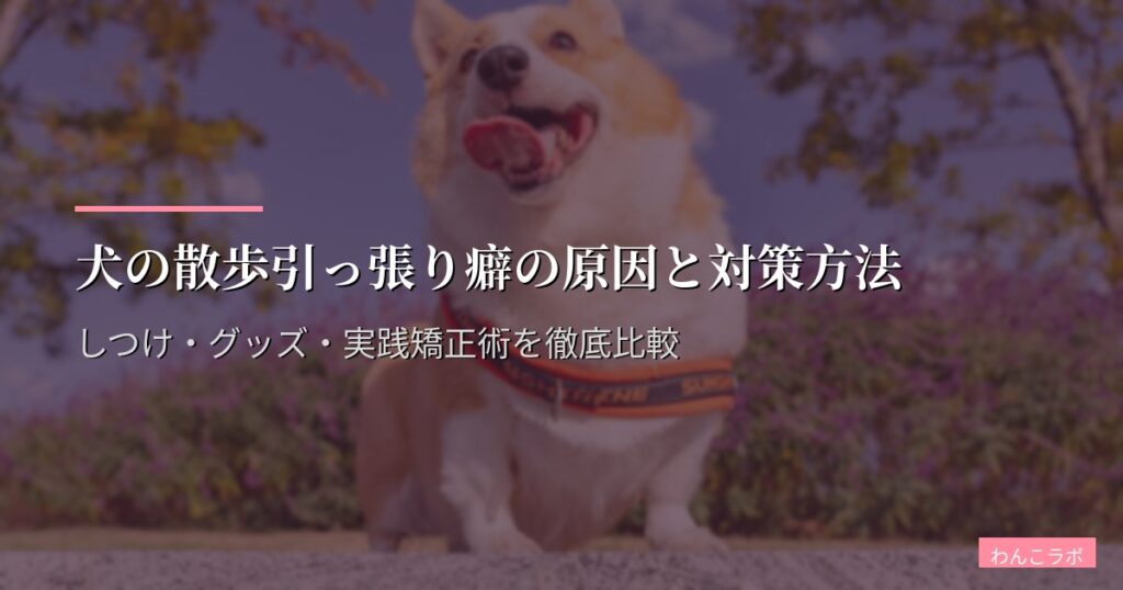 犬の散歩引っ張り癖の原因と対策方法｜しつけ・グッズ・実践矯正術を徹底比較