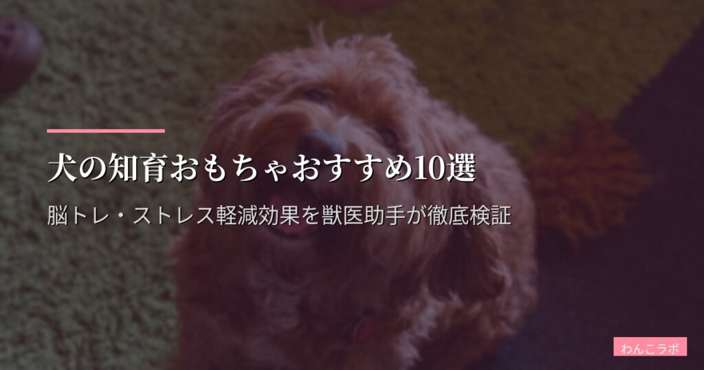 犬の知育おもちゃおすすめ10選【2026年版】脳トレ・ストレス軽減効果を獣医助手が徹底検証
