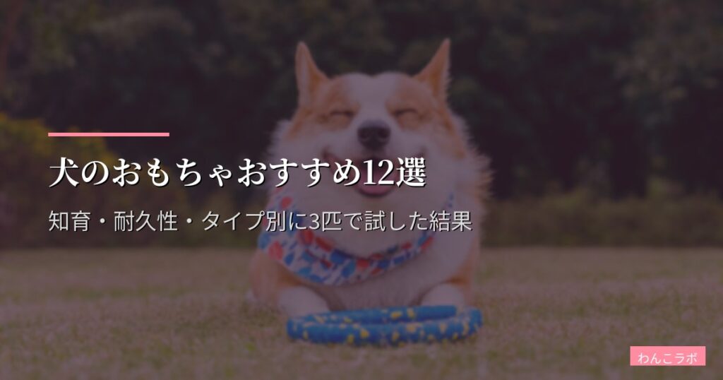 犬のおもちゃおすすめ12選【2026年最新】知育・耐久性・タイプ別に3匹で試した結果