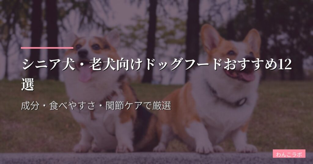シニア犬・老犬向けドッグフードおすすめ12選【2026年版】成分・食べやすさ・関節ケアで厳選
