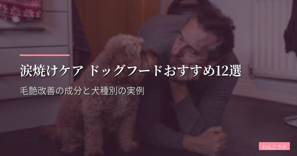 涙焼けケア ドッグフードおすすめ12選【2026年版】毛艶改善の成分と犬種別の実例