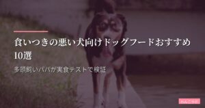 食いつきの悪い犬向けドッグフードおすすめ10選【2026年版】多頭飼いパパが実食テストで検証