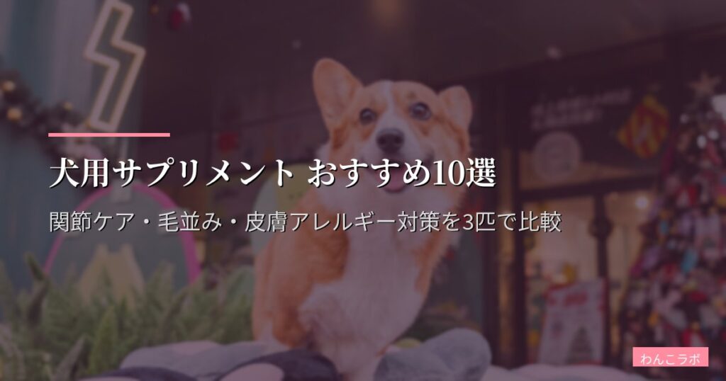 犬用サプリメント おすすめ10選【2026年版】関節ケア・毛並み・皮膚アレルギー対策を3匹で比較
