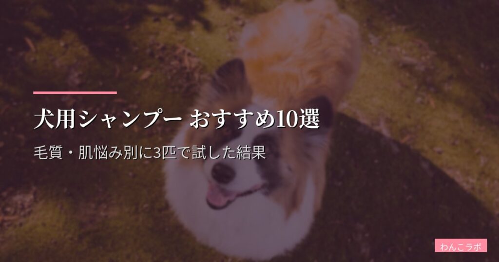 犬用シャンプー おすすめ10選【2026年版】毛質・肌悩み別に3匹で試した結果