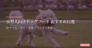 小型犬向けドッグフード おすすめ12選【2026年版】粒サイズ・消化・栄養バランスで厳選