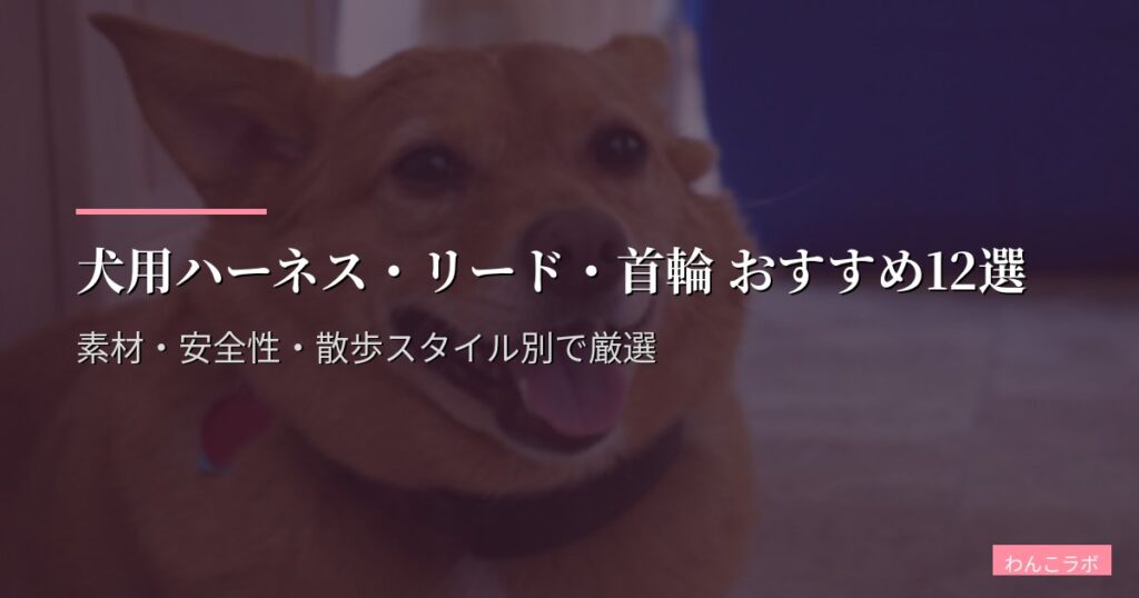 犬用ハーネス・リード・首輪 おすすめ12選【2026年版】素材・安全性・散歩スタイル別で厳選