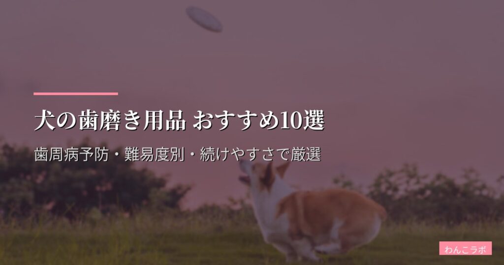犬の歯磨き用品 おすすめ10選【2026年版】歯周病予防・難易度別・続けやすさで厳選