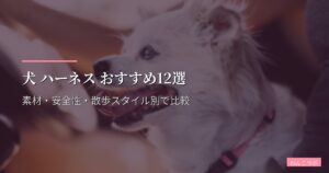 犬 ハーネス おすすめ12選【2026年版】小型・中型・大型犬別の抜けにくい設計と装着ストレス最小化モデルを実測比較