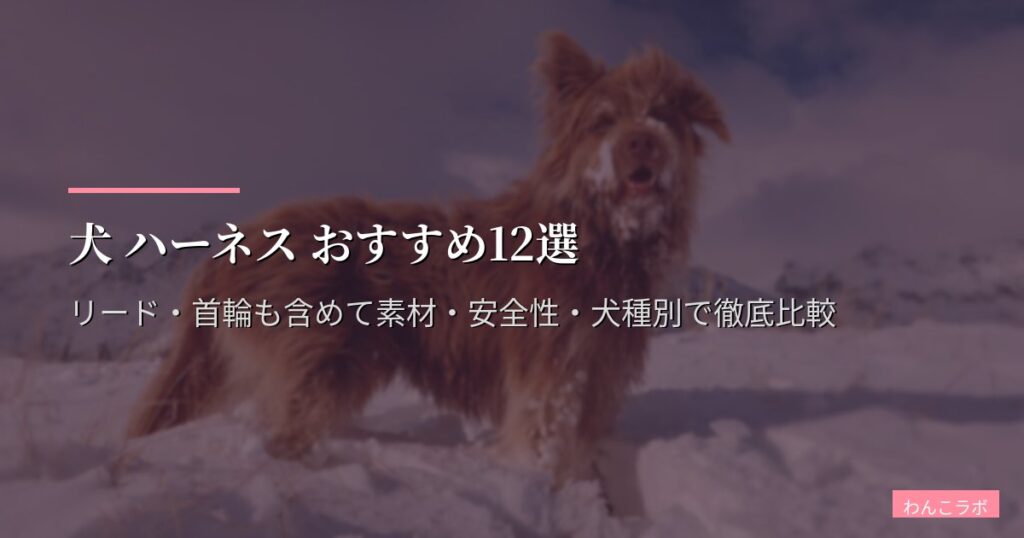 犬 ハーネス おすすめ12選【2026年版】リード・首輪も含めて素材・安全性・犬種別で徹底比較