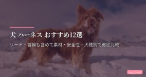 犬 ハーネス おすすめ12選【2026年版】リード・首輪も含めて素材・安全性・犬種別で徹底比較
