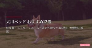 犬用ベッド おすすめ12選【2026年版】低反発・メモリーフォーム・遠赤外線など素材別＋犬種別に厳選