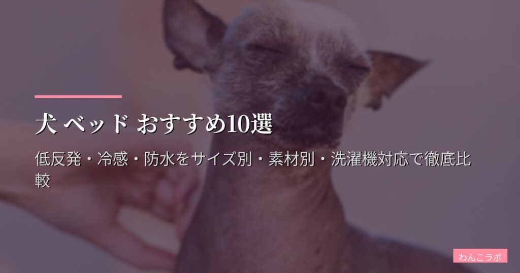 犬 ベッド おすすめ10選【2026年版】低反発・冷感・防水をサイズ別・素材別・洗濯機対応で徹底比較