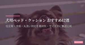 犬用ベッド・クッション おすすめ12選【2026年版】低反発・冷感・丸洗い対応を素材別・サイズ別に厳選比較