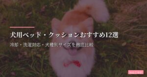 犬用ベッド・クッションおすすめ12選【2026年版】冷却・洗濯対応・犬種別サイズを徹底比較