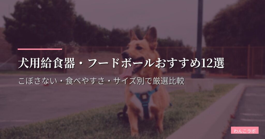 犬用給食器・フードボールおすすめ12選【2026年版】こぼさない・食べやすさ・サイズ別で厳選比較