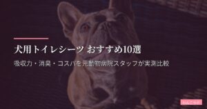 犬用トイレシーツ おすすめ10選【2026年版】吸収力・消臭・コスパを元動物病院スタッフが実測比較