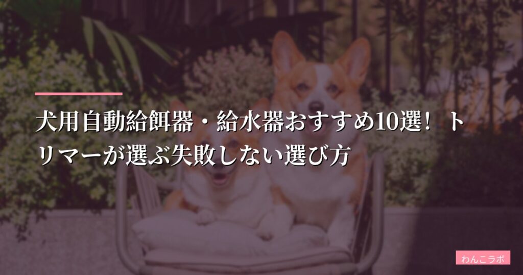 犬用自動給餌器・給水器おすすめ10選！トリマーが選ぶ失敗しない選び方【2026年版】