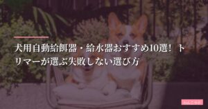 犬用自動給餌器・給水器おすすめ10選！トリマーが選ぶ失敗しない選び方【2026年版】