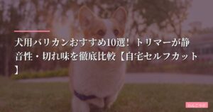 【2026年版】犬用バリカンおすすめ10選！トリマーが静音性・切れ味を徹底比較【自宅セルフカット】