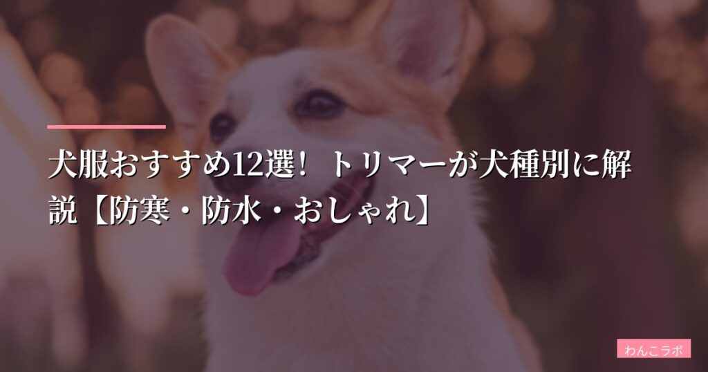 【2026年】犬服おすすめ12選！トリマーが犬種別に解説【防寒・防水・おしゃれ】