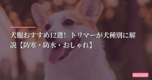 【2026年】犬服おすすめ12選！トリマーが犬種別に解説【防寒・防水・おしゃれ】