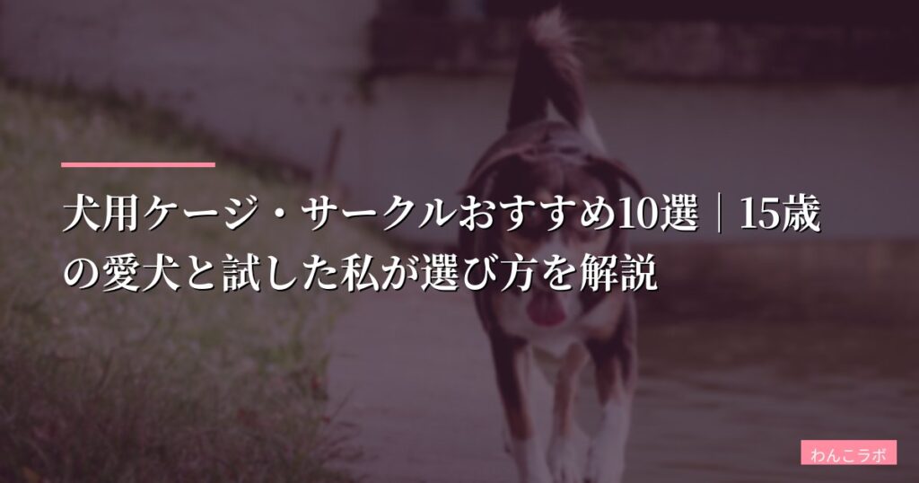 【2026年版】犬用ケージ・サークルおすすめ10選｜15歳の愛犬と試した私が選び方を解説