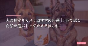 【2026年版】犬の見守りカメラおすすめ10選｜3匹で試した私が選ぶドッグカメラはこれ！