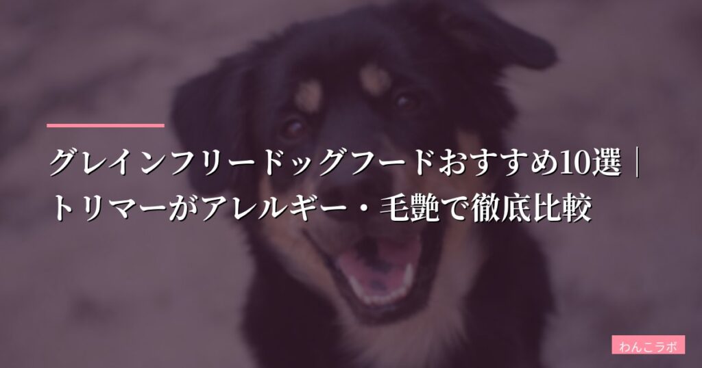 【2026年版】グレインフリードッグフードおすすめ10選｜トリマーがアレルギー・毛艶で徹底比較