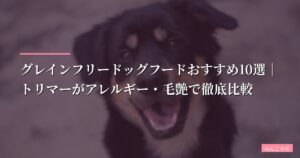 【2026年版】グレインフリードッグフードおすすめ10選｜トリマーがアレルギー・毛艶で徹底比較