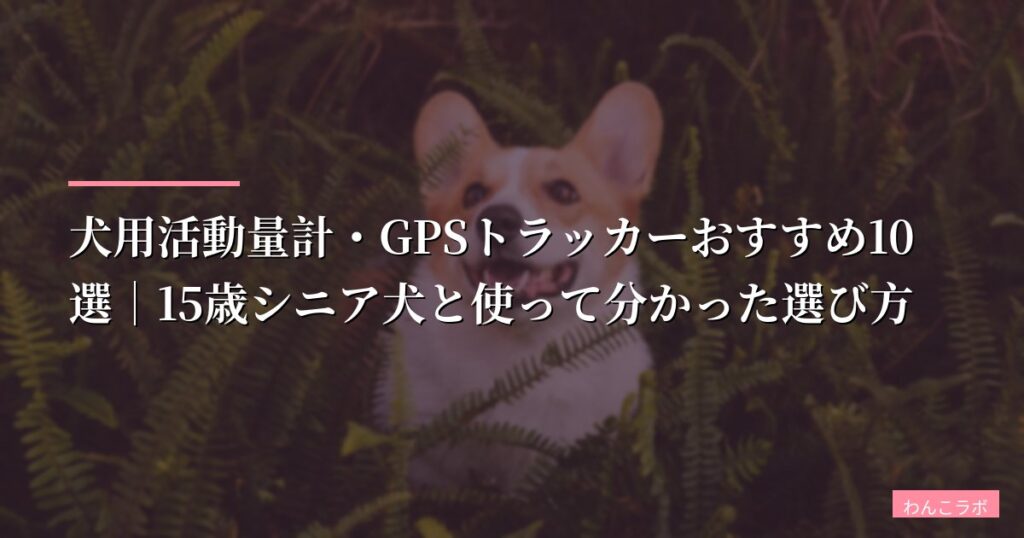 【2026年版】犬用活動量計・GPSトラッカーおすすめ10選｜15歳シニア犬と使って分かった選び方