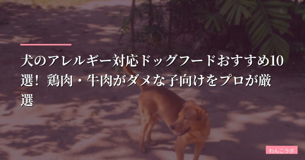 【獣医監修】犬のアレルギー対応ドッグフードおすすめ10選！鶏肉・牛肉がダメな子向けをプロが厳選