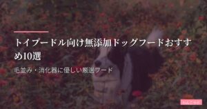 トイプードル向け無添加ドッグフードおすすめ10選【2026年版】毛並み・消化器に優しい厳選フード