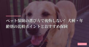 【トリマーが解説】ペット保険の選び方で後悔しない！犬種・年齢別の比較ポイントとおすすめ保険