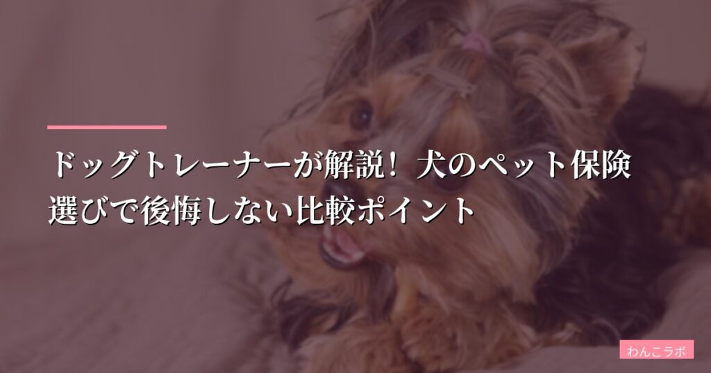 ドッグトレーナーが解説！犬のペット保険選びで後悔しない比較ポイント【犬種・年齢別シミュレーション】