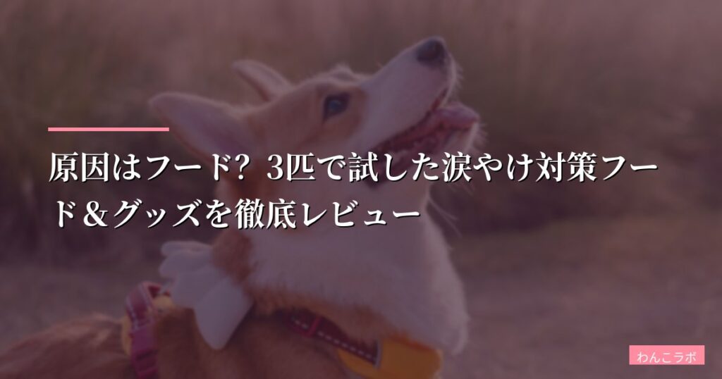 【犬の涙やけ】原因はフード？3匹で試した涙やけ対策フード＆グッズを徹底レビュー