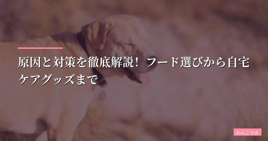 【愛犬の涙やけ】原因と対策を徹底解説！フード選びから自宅ケアグッズまで