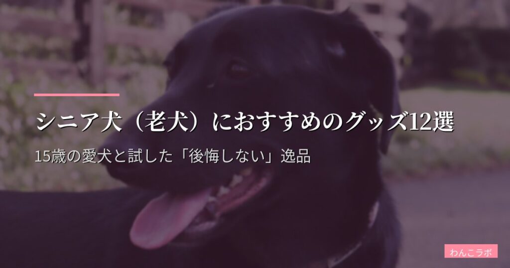 シニア犬（老犬）におすすめのグッズ12選｜15歳の愛犬と試した「後悔しない」逸品