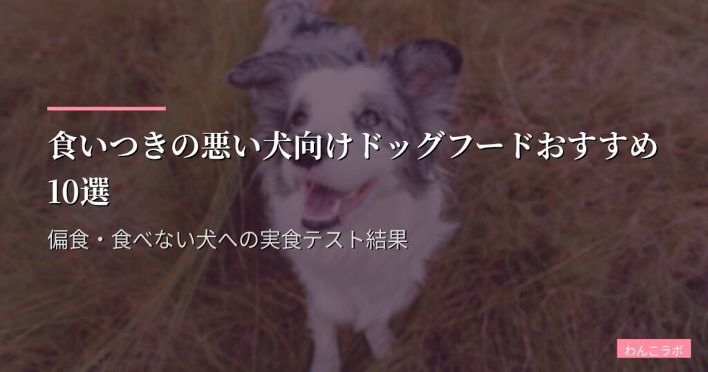 食いつきの悪い犬向けドッグフードおすすめ10選【2026年版】偏食・食べない犬への実食テスト結果