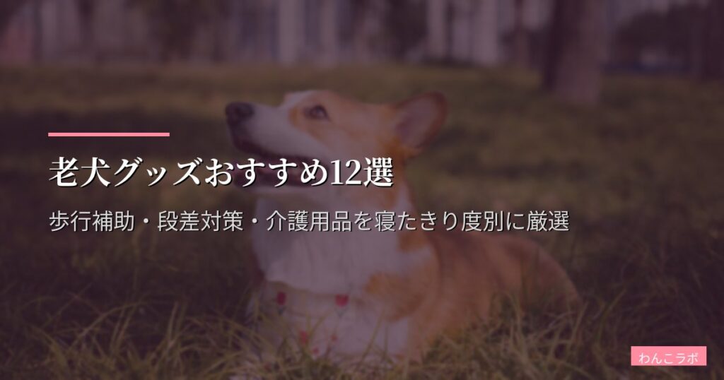 老犬グッズおすすめ12選【2026年版】歩行補助・段差対策・介護用品を寝たきり度別に厳選