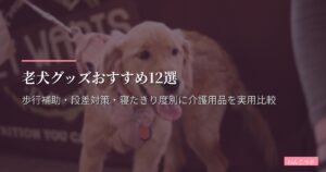 老犬グッズおすすめ12選【2026年版】歩行補助・段差対策・寝たきり度別に介護用品を実用比較｜最新版