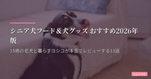シニア犬フード＆犬グッズ おすすめ2026年版｜15歳の老犬と暮らすヨシコが本音でレビューする13選