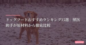 【2026年最新】ドッグフードおすすめランキング15選｜獣医助手が原材料から徹底比較