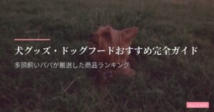 犬グッズ・ドッグフードおすすめ完全ガイド【2026年版】多頭飼いパパが厳選した商品ランキング