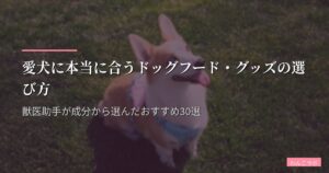愛犬に本当に合うドッグフード・グッズの選び方【2026年版】獣医助手が成分から選んだおすすめ30選