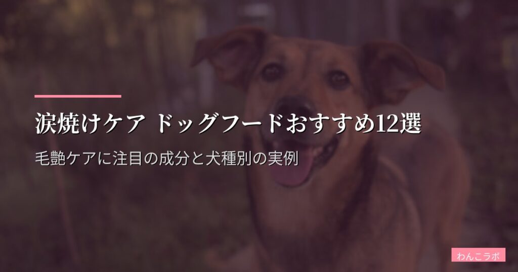 涙焼けケア ドッグフードおすすめ12選【2026年版】犬種別・アレルゲン別に選ぶ｜涙やけ原因食材を除去した実食テスト結果