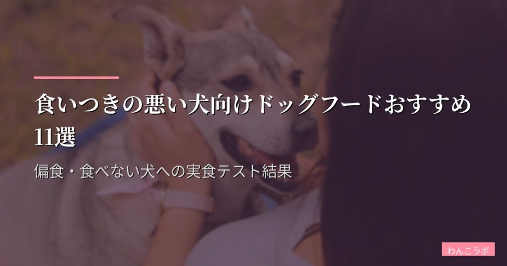 食いつきの悪い犬向けドッグフードおすすめ11選【2026年版】偏食ドッグの食欲スイッチを押す成分・香り・食感の選び方ガイド