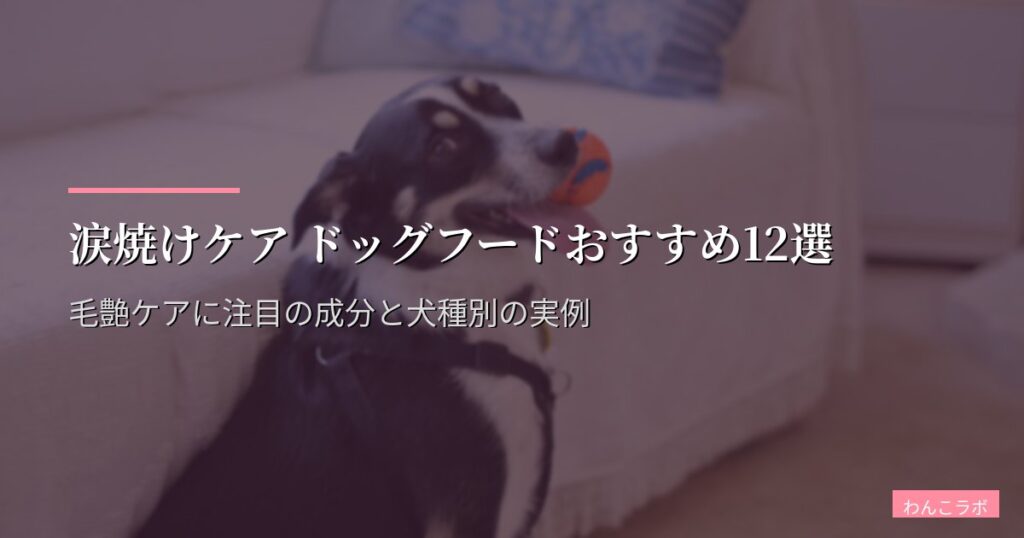 涙焼けケア ドッグフードおすすめ12選【2026年版】毛艶ケアに注目の成分と犬種別の実例