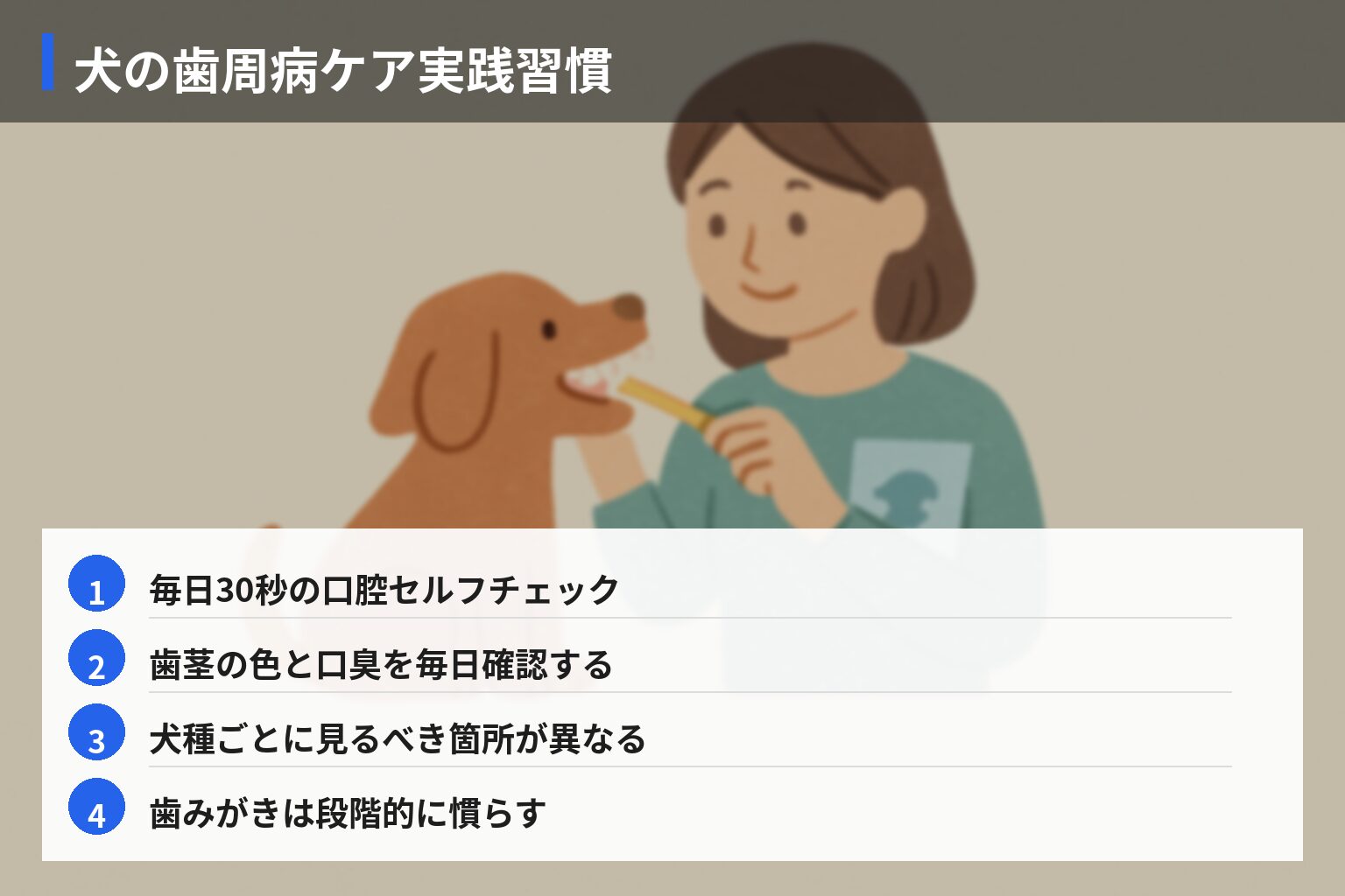 犬の歯周病ケア実践ガイド（今日から始めるチェックリスト）の図解・説明イラスト